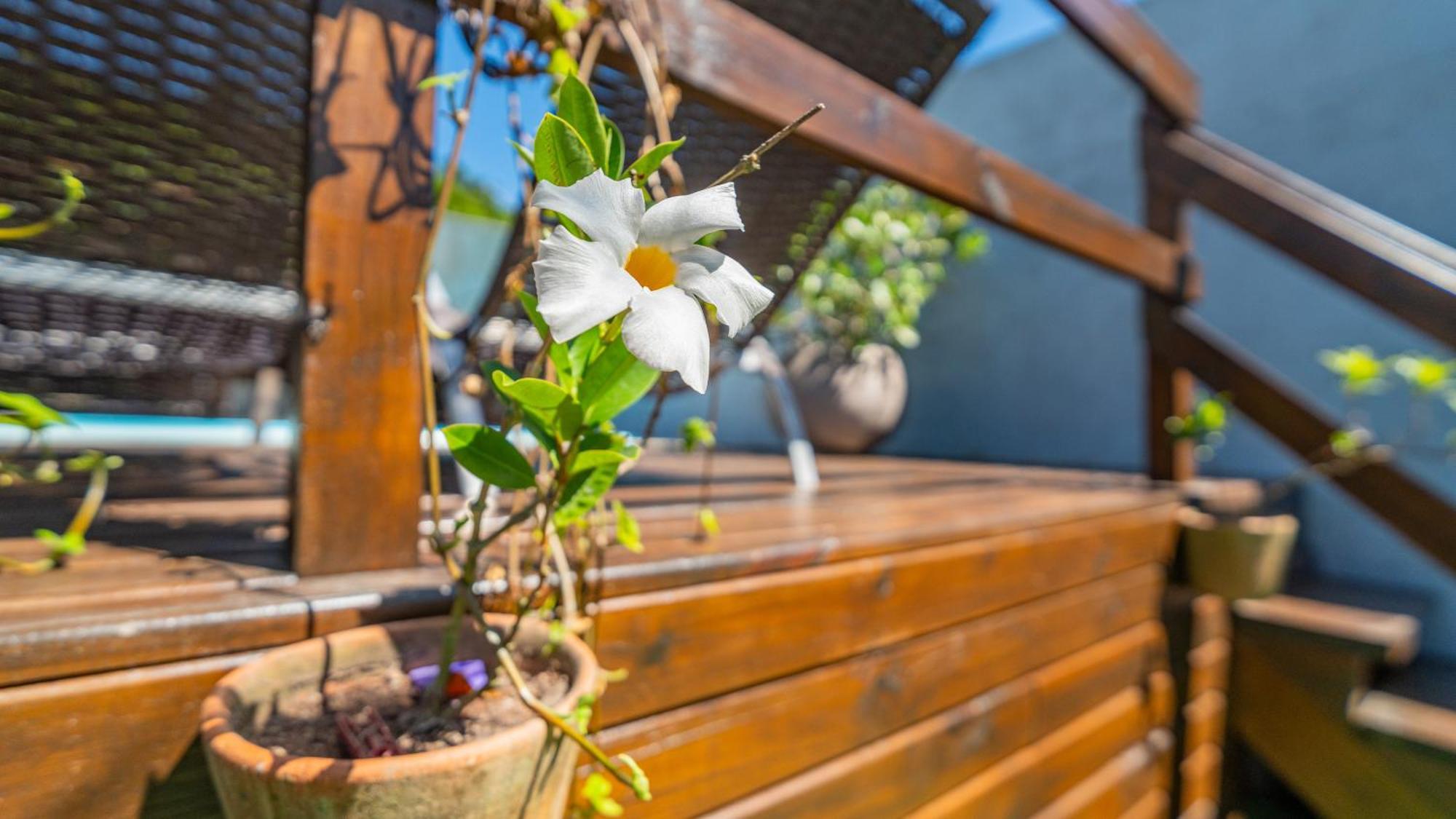Residencial Com Piscina Possui Jacuzzi Aquecida Com Hidromassagem Villa Bombinhas Exteriör bild